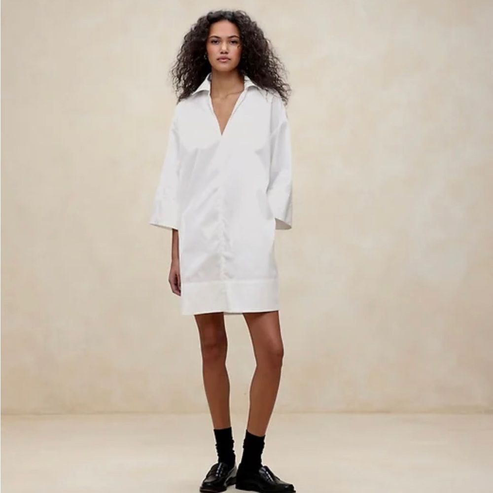 NWT - Banana Republic Cruz Poplin dress